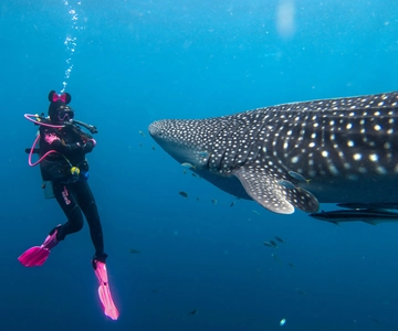 Zanzibar Bawe Island Snorkeling Day Trip with Lunch