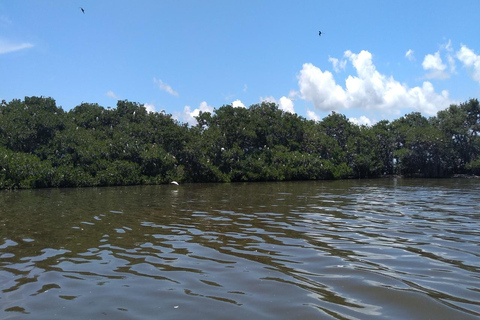 Boca del Río: storia, cultura e gastronomia