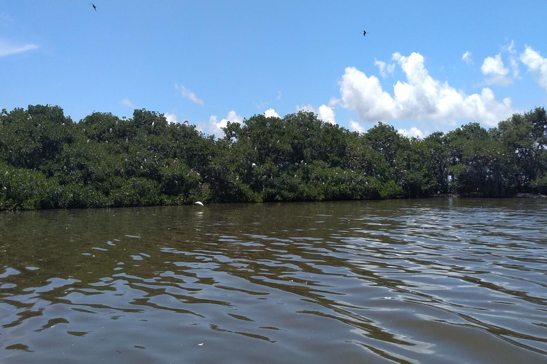 Boca del Río: história, cultura e gastronomia