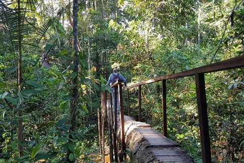 Puerto Maldonado: 3-Day Amazon Lodge Tour