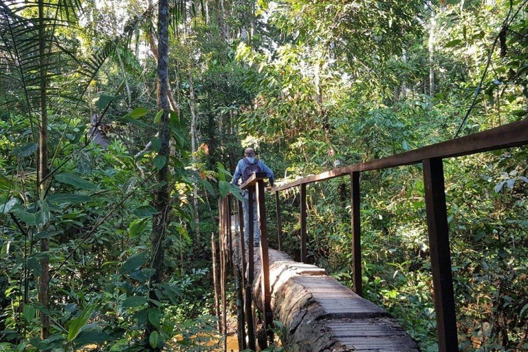Puerto Maldonado: 3-Day Amazon Lodge Tour