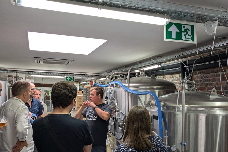 Brussels: beer tasting workshop in a micro brewery