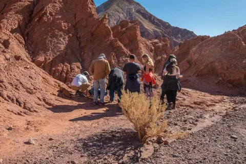 Atacama: Rainbow Valley and Petroglyphs Tour with Breakfast