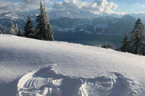 Luzern: Tagestour auf die Rigi mit Bootsfahrt und Zahnradbahn