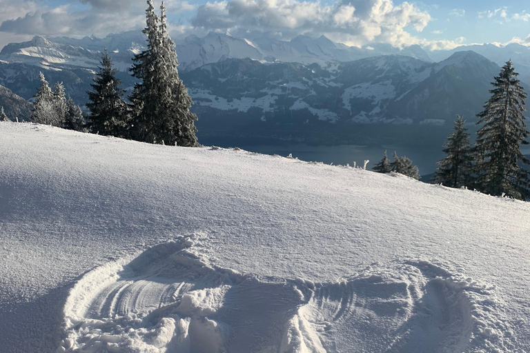 Lucerna: Escursione sul Monte Rigi con giro in barca e treno a cremagliera