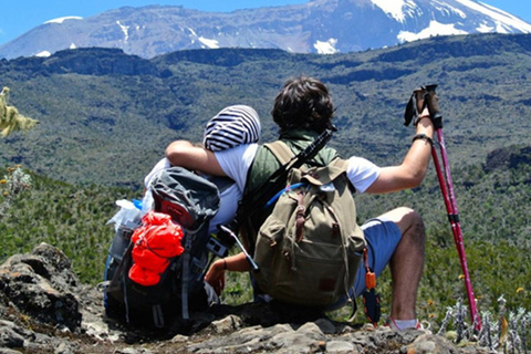 Aventure au sommet : Excursion d&#039;une journée au Mont Kilimandjaro