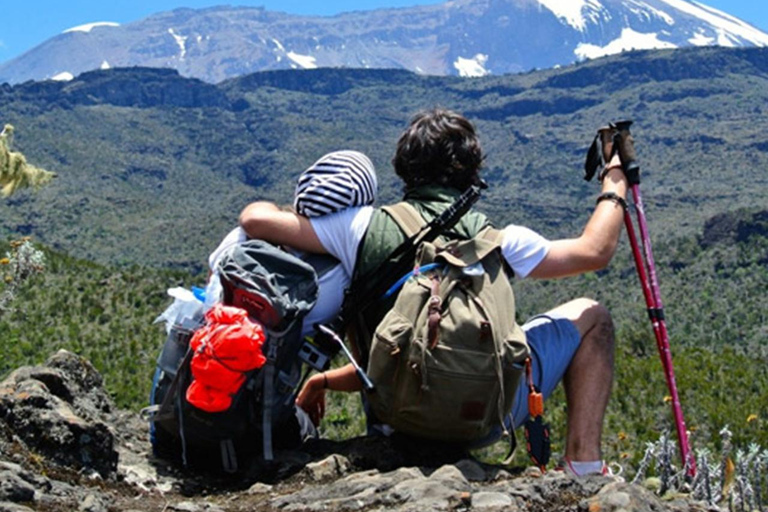 Avventura in vetta: Escursione di un giorno sul Monte Kilimangiaro