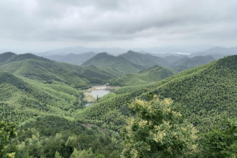 Shanghai: Moganshan Bamboo Hike with 1920s Villas private tour option