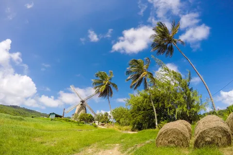 Barbados Highlights Tour