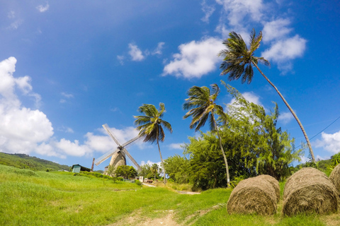 Tour dei punti salienti di Barbados