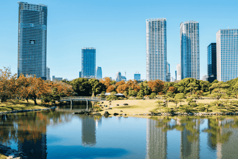 Tour privato di Tokyo con Kimono