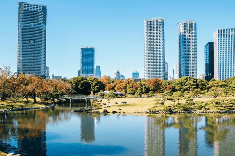 Tour privato di Tokyo con Kimono