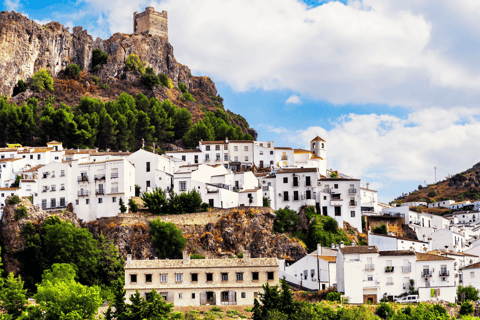 Ronda y Pueblos Blancos: Excursión de un día en grupo reducido