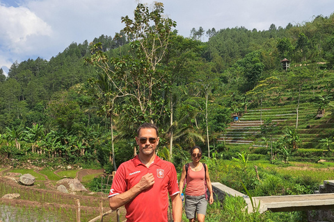 From Yogyakarta: Selogriyo Rice Terraces to Hidden Waterfall