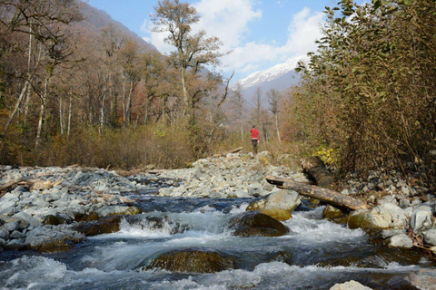 Tbilisi: Mtskheta, Kakheti, & Lagodekhi National Park Tour