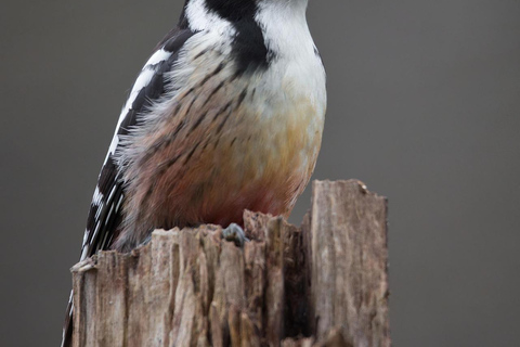 Sri Lanka: 6-Day Photography Tour with Hotel & Guide