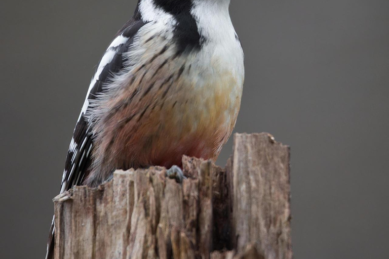 Sri Lanka: 6-Day Photography Tour with Hotel & Guide