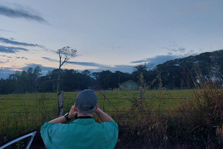 Observação de pássaros e lado brasileiro das cataratas.