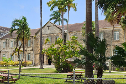 Barbados: Private Scenic Guided Tour