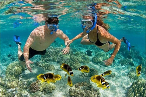 Aventura en Lancha Rápida y Snorkel desde Punta Cana