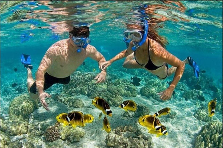 Aventura en Lancha Rápida y Snorkel desde Punta Cana