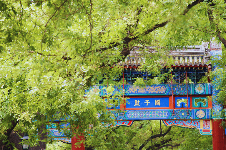 Peking: Spezialisierter Hutong-Spaziergang &amp; Imperial College TourSpezialität Hutong Walk &amp; The Imperial College Tour 10:00