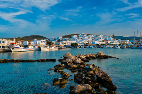 Mykonos: Horseback Riding To Fokos Beach & Farmland
