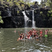 Airlie Beach: Cedar Creek Express, Guided Eco Tour