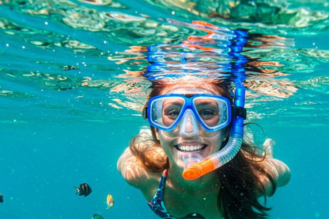 ZANZIBAR: Mnemba Island Snorkeling & Dolphin Tour with Lunch