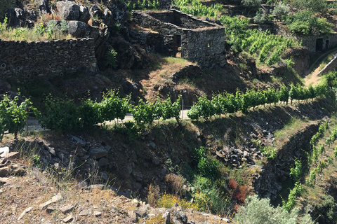 Porto to Douro Valley Private tour in a 4x4 like a native Privat tour Offroad Douro Valley