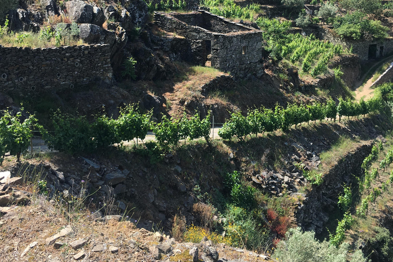 Porto to Douro Valley Private tour in a 4x4 like a native Privat tour Offroad Douro Valley