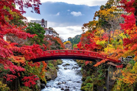 Nikko: Kegon Falls, Chuzenji, Shinkyo Bridge, Toshogu Temple In Luxury Velfire Nikko Private Customized Tour