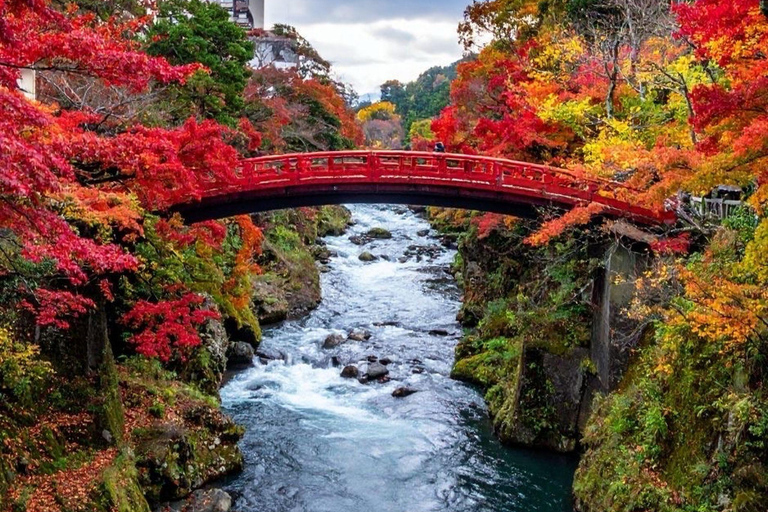 Nikko: Kegon Falls, Chuzenji, Shinkyo Bridge, Toshogu Temple In Luxury Velfire Nikko Private Customized Tour