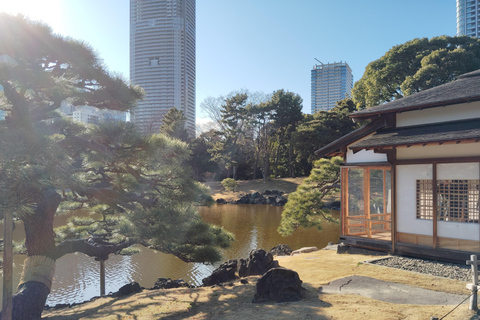 Tokio: Kiyosumi, Hama-Rikyu en Kyu-Yasuda Tuin Tour