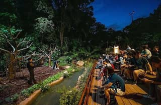 Eintrittskarte für die Night Safari mit Show