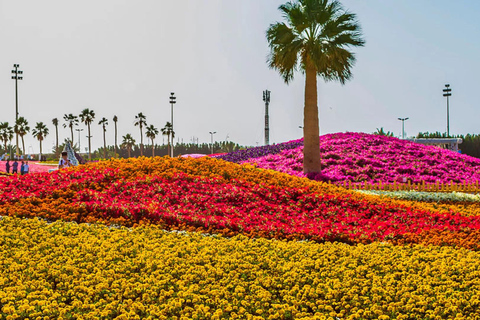 Yanbu: Guided Tour in The City of Springs Pickup From Medina