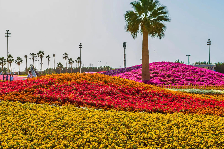 Yanbu: Guided Tour in The City of Springs Pickup From Medina