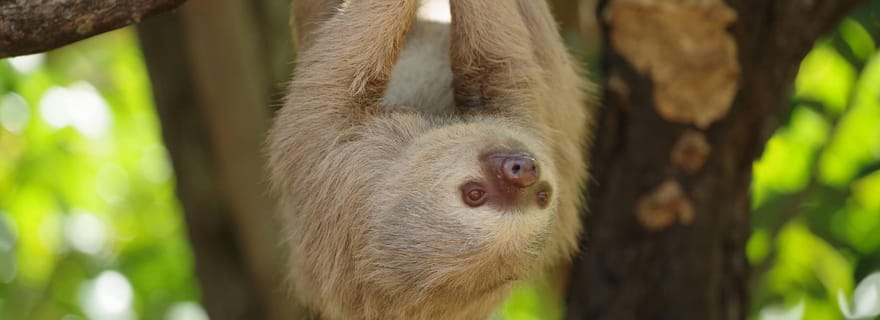 Diamante Eco Adventure Park : laissez-passer pour le sanctuaire de la faune