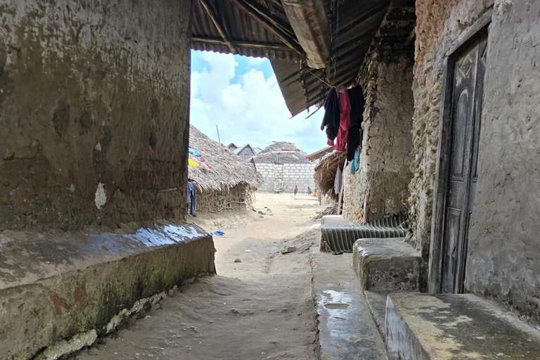 奔巴岛：科贾尼岛与姆纳拉尼遗址之旅