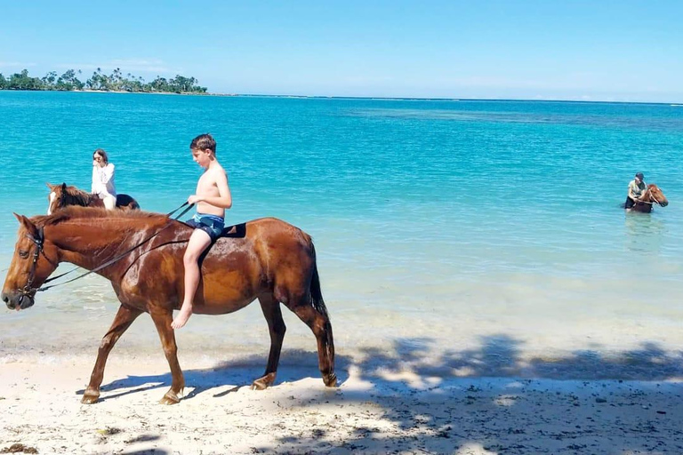 Port Vila: Private Customizable Tour with Driver