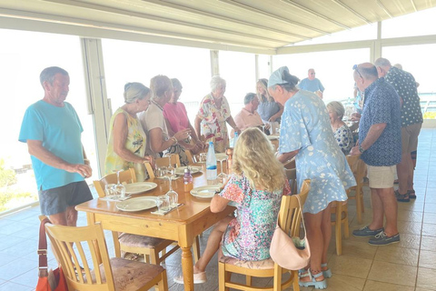 Paphos Hills Wine Tour: Tsangarides, Kolios & Vouni Panayia