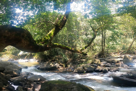 Goa: SIC Dudhsagar Waterfall and Spice Plantation Day Tour