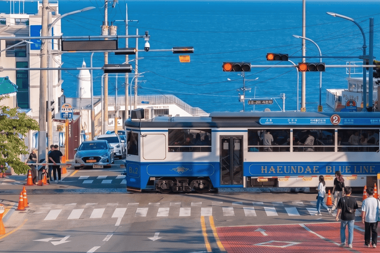 Small-Group Busan City Tour with Optional Sky Capsule Sky Capsule Excluded