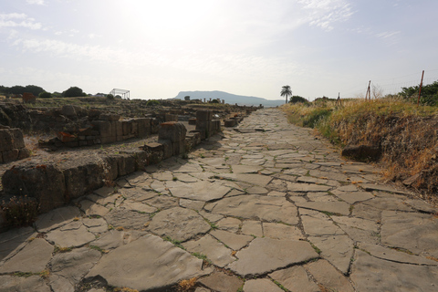 Tarifa: Baelo Claudia Guided Tour & Roman Dinning Experience