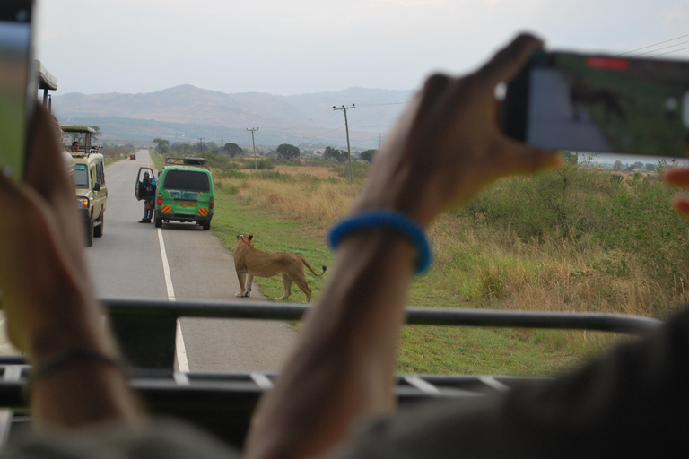 Ouganda : 3 jours de safari dans le parc national Queen Elizabeth