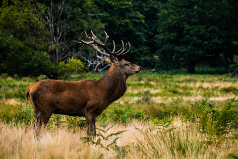 Kathmandu: 4-Day Private Chitwan National Park Safari Tour