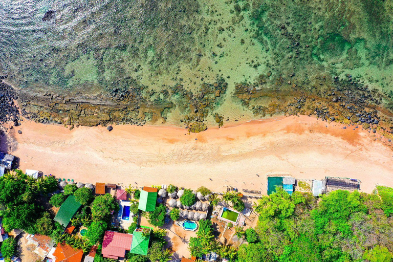 Los Cobanos: Incredible marine wildlife watching boat tour