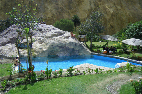 From Arequipa: 2-day Colca hike, meals includedcaminhada