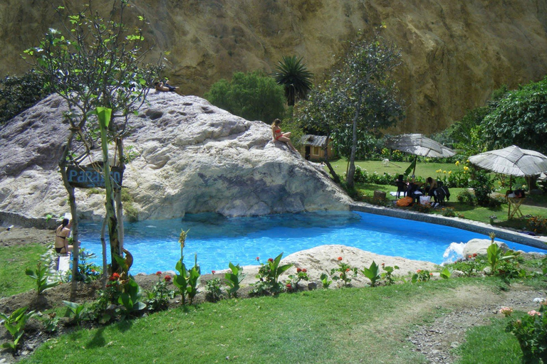 From Arequipa: 2-day Colca hike, meals includedcaminhada