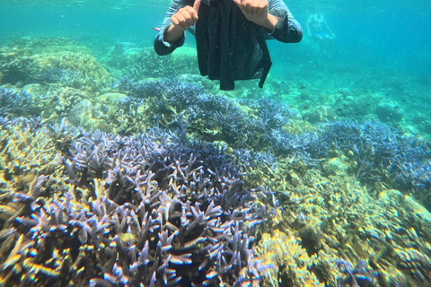 Lombok Private Snorkeling: Hidden Southwest 5 Gili Islands Lombok: Private Snorkeling Gili Asahan (5 Gilis) + Lunch
